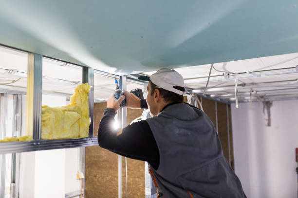 Best Insulation Removal  in Mccom, MS