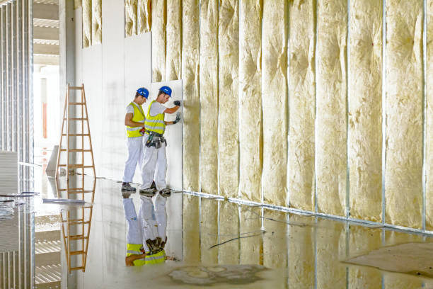 Best Insulation for Commercial Buildings  in Mccom, MS